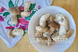 Рецепты консервирования грибов в домашних условиях Маринованные грибы на зиму рецепты
